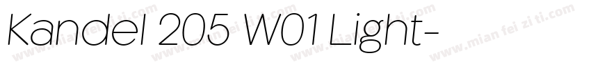 Kandel 205 W01 Light字体转换